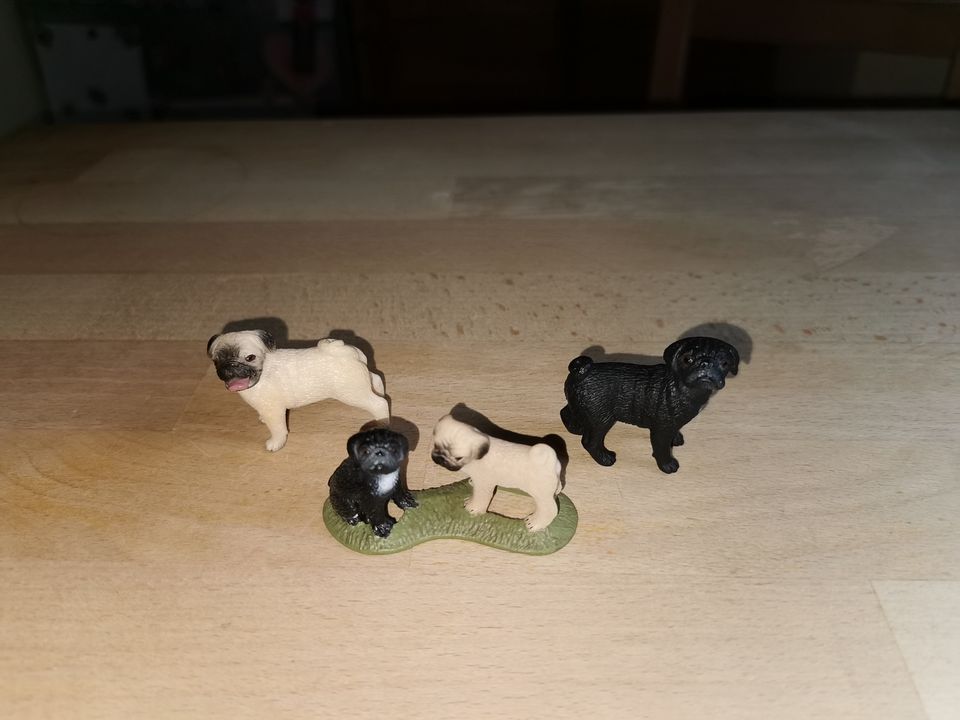 Schleich Tier Hund Mops Rüde 16381 & Hündin 16382 & Welpen 16383 in Bad Gandersheim