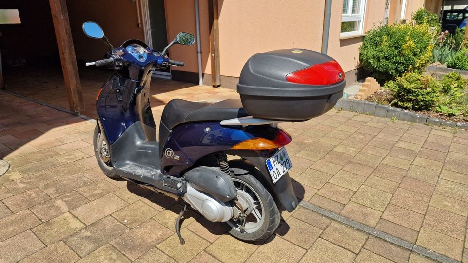 Motorroller Honda NES 125 in Heidesheim