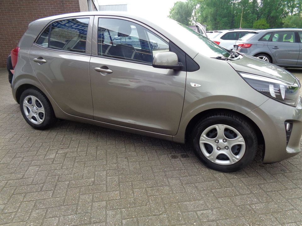 Kia Picanto 1.0 Edition 7 in Bad Bentheim