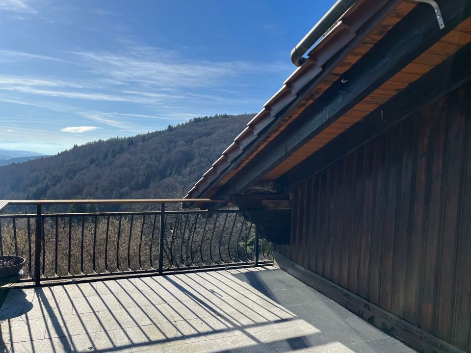 Anwesen in Steinen-Lehnacker mit Wow-Effekt: Drei Wohnungen und Mega-Alpenblick in Steinen