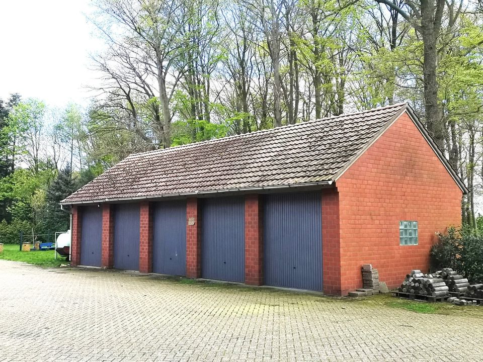 Drentwede - Resthof in abgeschiedener Lage auf 15580 m² in Drentwede