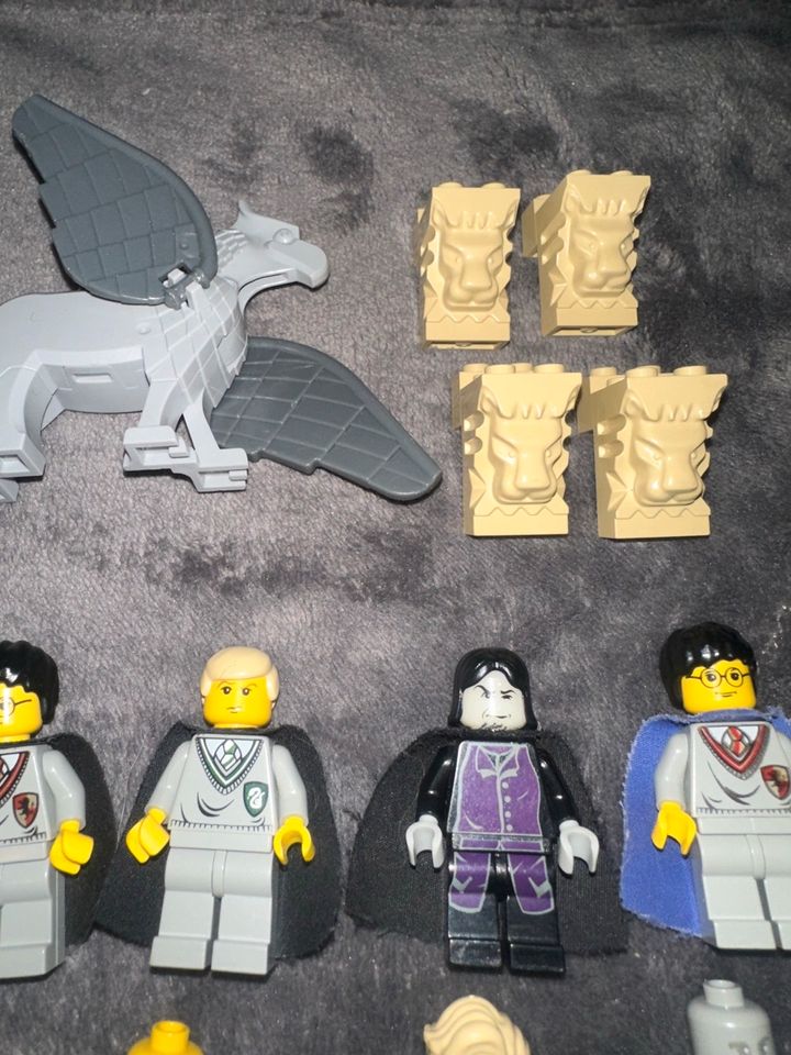 Lego Harry Potter Figuren Sammlung Tiere in Hohenwestedt