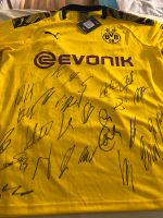 BVB Heimtrikot 2019/20 gelb in XL mit Unterschriften Dortmund - Wellinghofen Vorschau