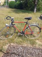 Peugeot Herren-Rennrad 28er Rahmen 70er Jahre Baden-Württemberg - Gingen an der Fils Vorschau