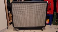 Edle Gitarrenbox 2x12  von TAD Rheinland-Pfalz - Dannstadt-Schauernheim Vorschau