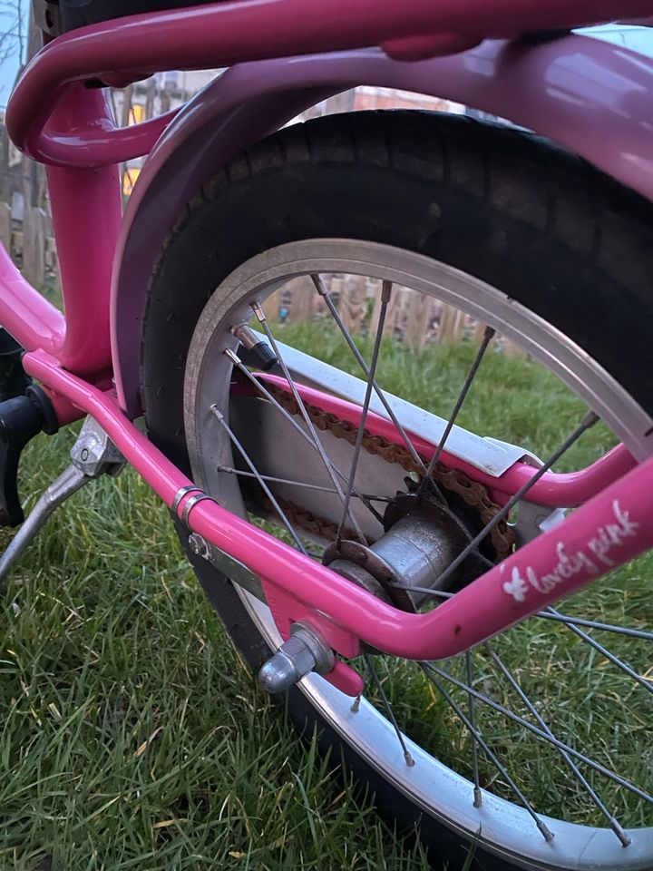 Kinderfahrrad Puky 16 Zoll in Bernau