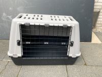 Hunde Transportbox Essen - Essen-Frintrop Vorschau