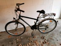 Herren Fahrrad 28 zoll Berlin - Tempelhof Vorschau