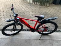 Blackbird Evo E-Bike Baden-Württemberg - Reutlingen Vorschau