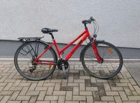 Heeren Fahrrad Pegasus Reparatur Bedürftig Frankfurt am Main - Eckenheim Vorschau