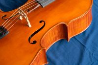 Deutsches Cello, 4/4, Violoncello Bayern - Tegernheim Vorschau