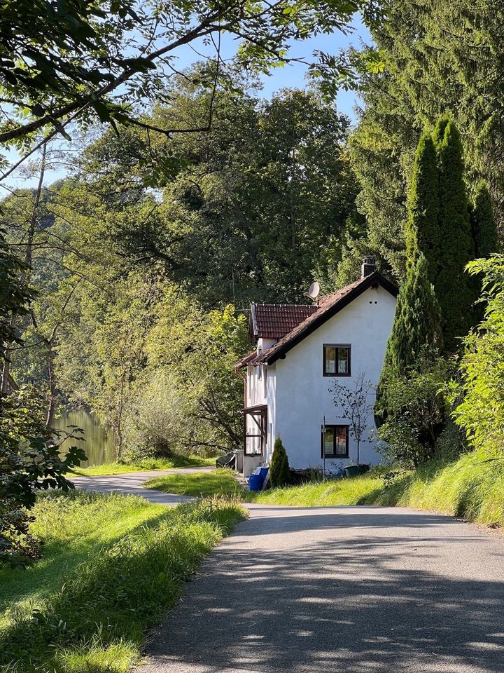 Traumhaftes Grundstück mit Altbestand am See in idyllischer Lage in Ebersberg