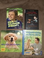 Hundeerziehung Welpe Welpentraining Martin Rütter Jutta Ziegler Bayern - Hebertsfelden Vorschau