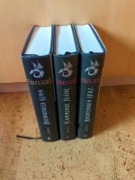 Firelight Trilogie von Sophie Jordan Nordrhein-Westfalen - Schwelm Vorschau