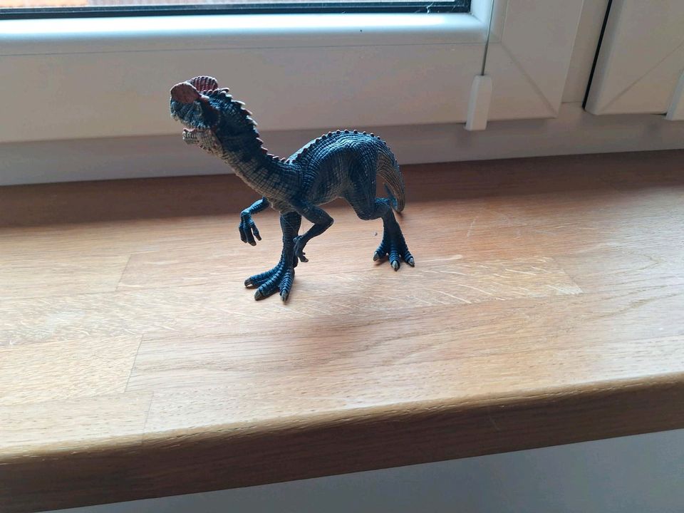 Schleich Dinosaurier in Friemar