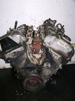 Ford Mondeo st220 Meba Motor defekt Nordrhein-Westfalen - Langenberg Vorschau