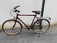 City Fahrrad Bayern - Neu Ulm Vorschau