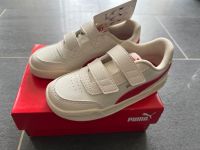 Puma Kinder Sneaker Halbschuhe Gr.27 Thüringen - Mihla Vorschau