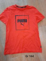 Puma Shirt Gr 164 Nordrhein-Westfalen - Ahlen Vorschau