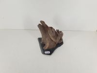 Aquarium Deko - Scaper Wood auf Schieferstein 15x12cm *NEU* Nordrhein-Westfalen - Weilerswist Vorschau