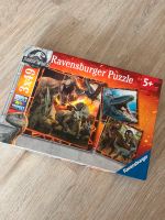 Ravensburger Puzzle 3x 49 Teile Dinosaurier Schleswig-Holstein - Glücksburg Vorschau