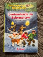 Das magische Baumhaus Buch „Lawinenhunde im Schneesturm“ Niedersachsen - Stadthagen Vorschau
