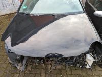 VW Polo 9N 1.2 Liter BJ 2003 Motorhaube Schwarz Niedersachsen - Delmenhorst Vorschau