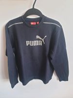 Puma # Pullover # Sweatshirt # Unisex Hessen - Nüsttal Vorschau