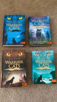 Warrior Cats Special Adventures Baden-Württemberg - Korntal-Münchingen Vorschau