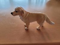 Schleich Hund Golden Retriever stehend Tier 4,50€ Niedersachsen - Rotenburg (Wümme) Vorschau