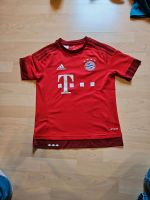 Adidas Trikot FC Bayern- Größe 164 Rheinland-Pfalz - Polch Vorschau