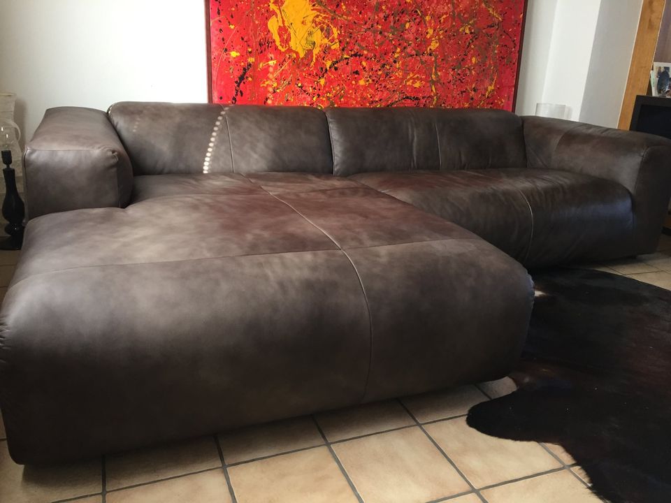 freistil 187 (ROLF BENZ) Echtleder-Sofa - gebraucht in Haibach Unterfr.