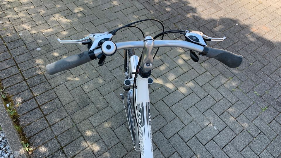 Fahrrad 28 Zoll Pegasus in Solingen