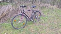 Retro Gravel Bike 28" orig. Nokia Bereifung. Robust. gr. ca. L Baden-Württemberg - Mannheim Vorschau