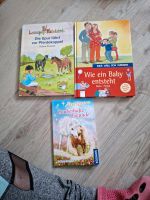 Bücher zu verkaufen Nordrhein-Westfalen - Extertal Vorschau