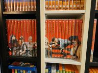 Die grosse Astrid Lindgren DVD Sammlung 1 bis 22 Hessen - Ginsheim-Gustavsburg Vorschau