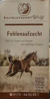 Fohlenaufzucht Stuten und Hengste Sachsen-Anhalt - Laucha an der Unstrut Vorschau