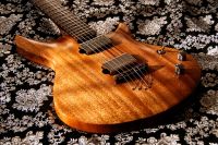 Custom E- Gitarre, Handmade JS-Guitars, Khaya Mahagoni Nordrhein-Westfalen - Detmold Vorschau