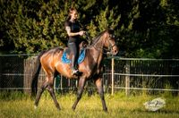 Reitunterricht Sachsen - Kamenz Vorschau