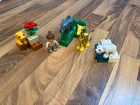 Lego Duplo 4962 Tierbabys Zoo Tierpflegerin vollständig Niedersachsen - Wolfsburg Vorschau
