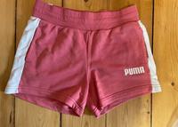 Puma Kurze Hose Gerbstedt - Gerbstedt Vorschau