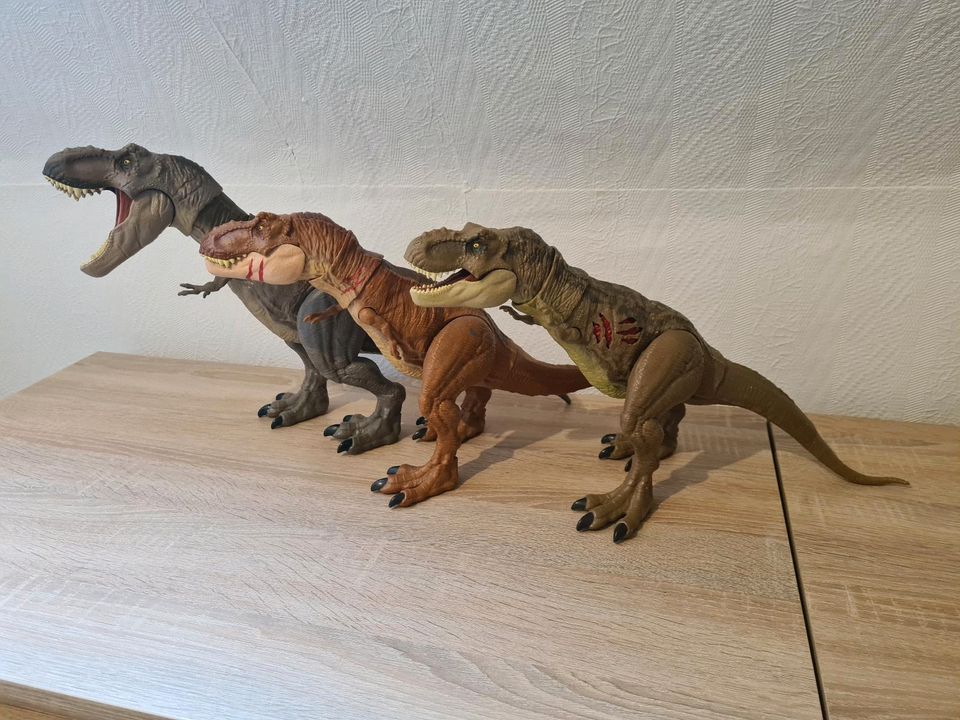 Jurassic world Dinos Dinosaurier T-rex in Nordhorn