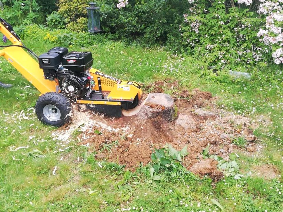 Stumpen fräsen / Wurzelstock entfernen in Trochtelfingen