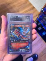 M Charizard EX 011/072 japanisch AOG 9,5 (PSA10?!) 2016 Hessen - Gersfeld Vorschau