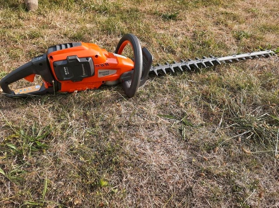 Heckenschnitt,Sträucher entfernen,Baumwurzeln entfernen in Bad Laer