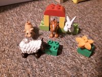 LEGO Duplo-Set "Bauernhof-Tiere" (10522), guter Zustand! Niedersachsen - Hinte Vorschau