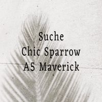 SUCHE Chic Sparrow A5 Maverick/Planer/Filofax/Gillio Mecklenburg-Vorpommern - Boizenburg/Elbe Vorschau