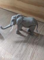 Playmobil Elefanten Obergiesing-Fasangarten - Obergiesing Vorschau