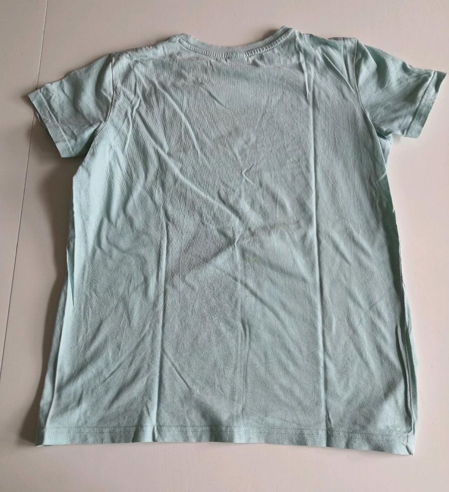 Shirt Sommer hellgrün Gr 146 152 in Zirkow