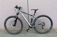 Bike Fahrrad Hardtail Carver Strict 160 29“ Rahmengr.46 (2020) Dresden - Striesen-Ost Vorschau